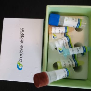 Kit de deteccion de PCR en tiempo real de Viruela del Mono MonkeyPox