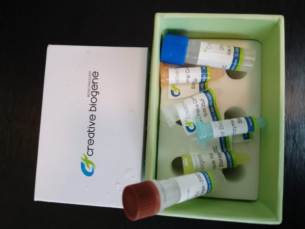 Kit de deteccion de PCR en tiempo real de Viruela del Mono MonkeyPox